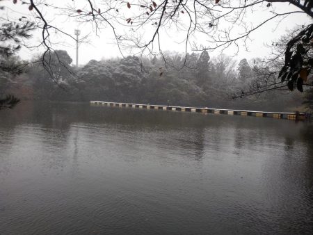 大安トラウトレイク 釣果